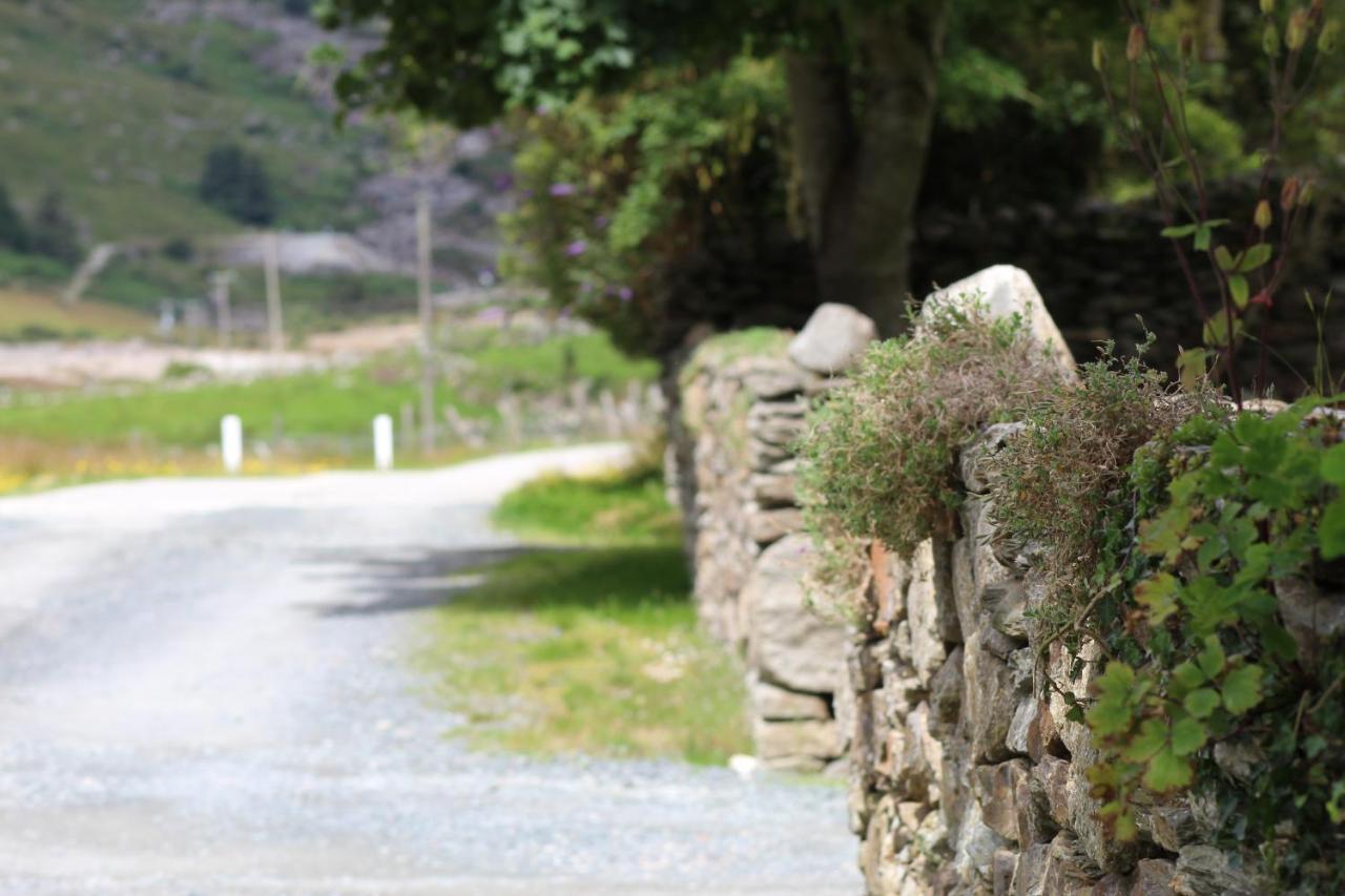 Riversdale House Room Only Accommodation, A98Kd85 Brockagh Екстериор снимка